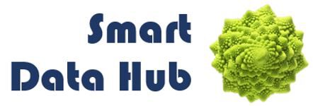 Smart Data Hub Logo